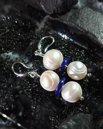 Snow Country Journey Double Shine Earrings